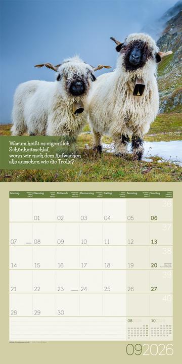Produktbild Keep Smiling! Kalender 2026 - 30x30 (30 x 30 cm, Deutsch, Englisch, Französisch)