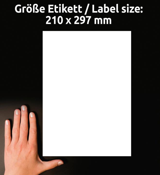 Actual product image Avery Universal labels