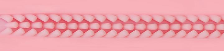 Image du produit Fleshlight Lady Touch