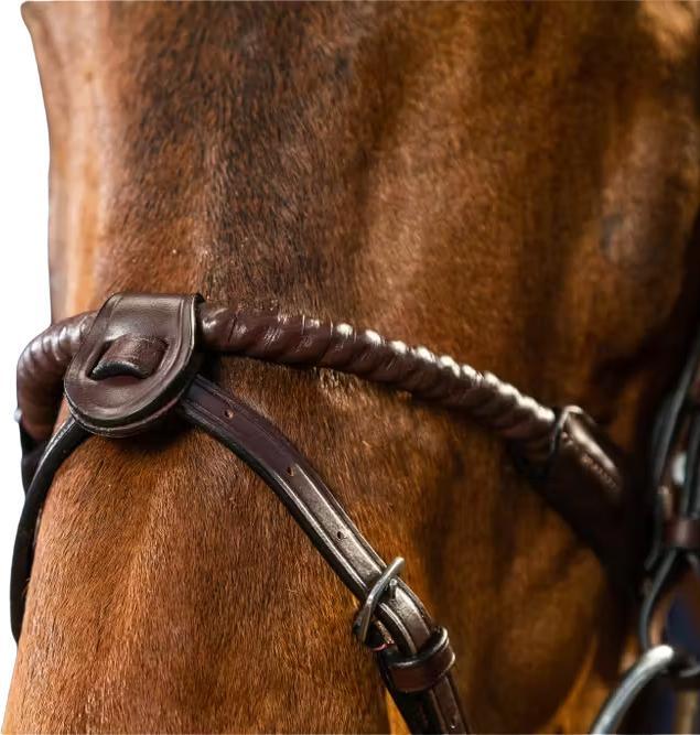 Actual product image Dy'on Beard strap with 2 removable attachments horse