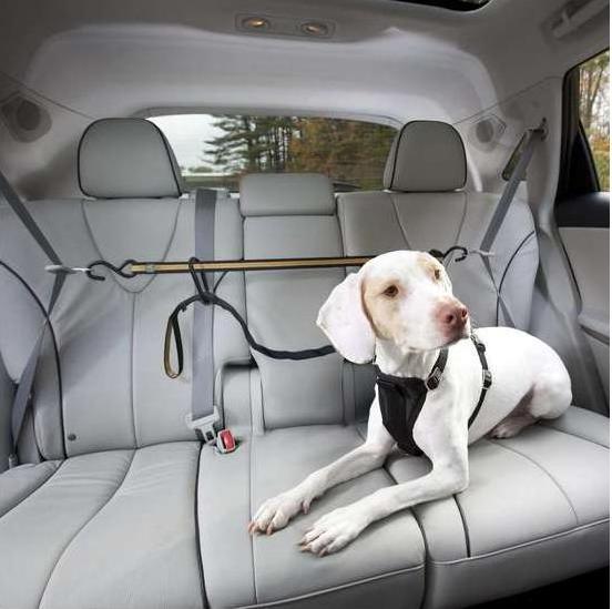 Produktbild Kurgo Auto Zip Line & Leash (Hund, Reflektoren)