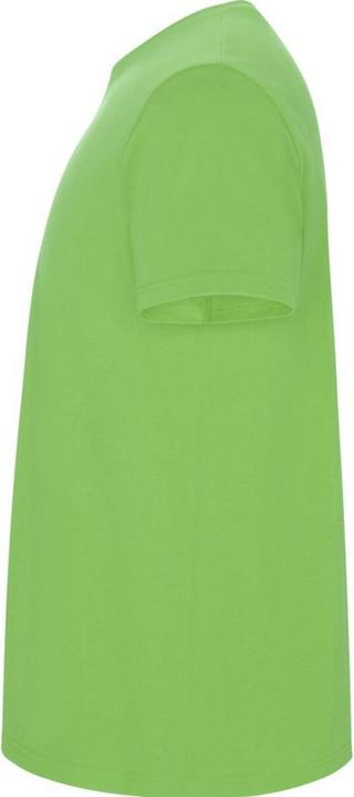 Immagine prodotto Alpinia Stafford Maglietta Uomo (XL)