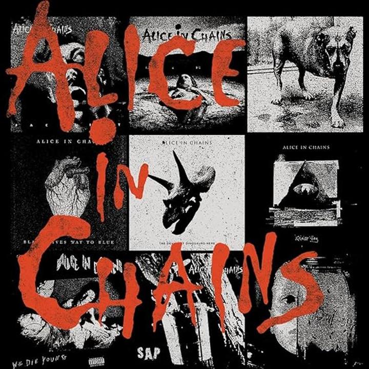 Produktbild Alice In Chains Sweatshirt (M)
