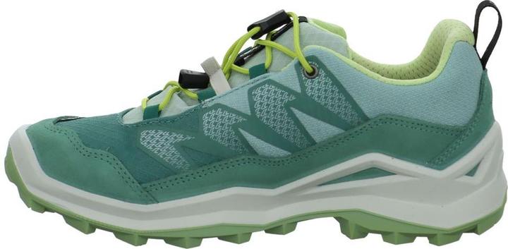 Produktbild Lowa Maddox Pro GTX LO (31)