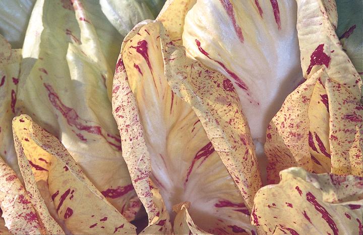 Image du produit Zollinger Bio Chicorée pommée (Radicchio), Castelfranco Di Luisa (Germes)