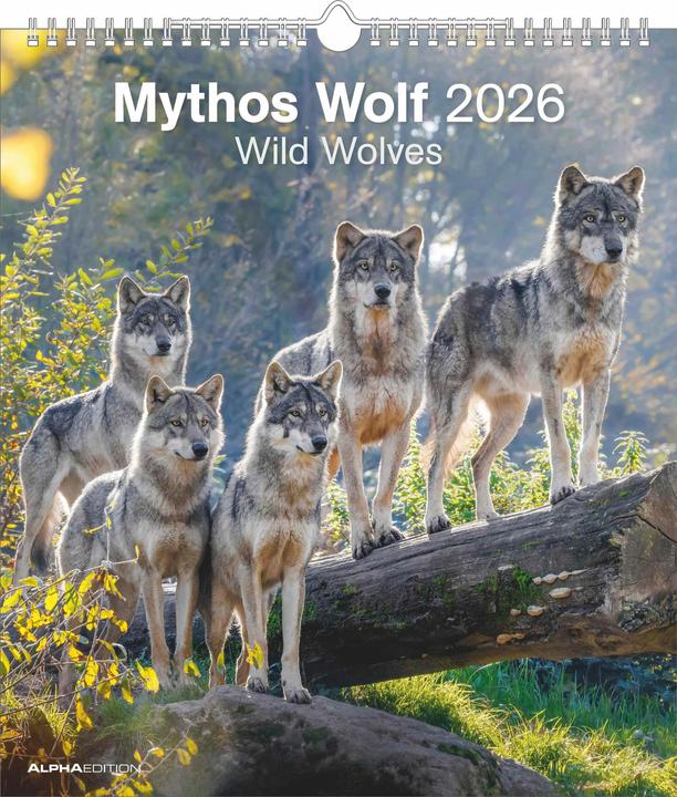 Produktbild Alpha Edition Mythos Wolf 2026 - Foto-Kalender - Wand-Kalender - 30x34 (30 x 34 cm, Harter Einband, Französisch, Niederländisch, Englisch, Deutsch)
