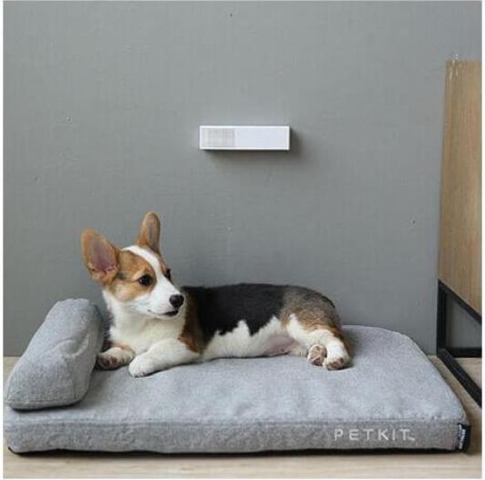 Immagine prodotto Petkit Pura Air Smart Odour Eliminator (Cane, Gatto)
