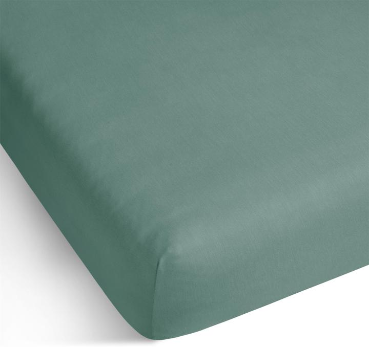 Actual product image Aspero Natal Cotton Fitted Sheet (100 x 200 x 25 cm, 90 x 200 x 25 cm)