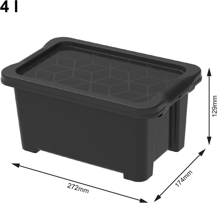 Actual product image Rotho Evo Easy incl. Lid (27 x 17.5 x 13 cm, 4 l)