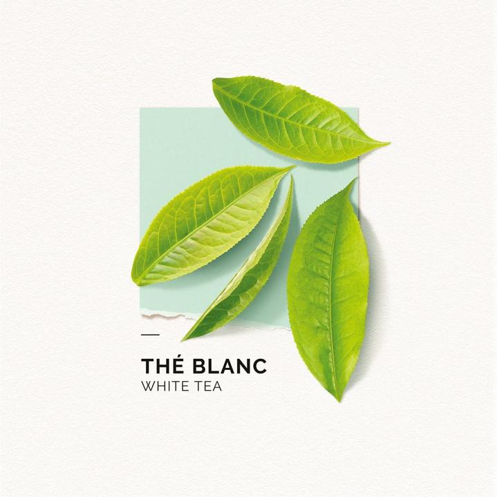 Image du produit Solinotes Paris Solinotes - Thé Blanc Eau De Parfum (Eau de parfum, 50 ml)
