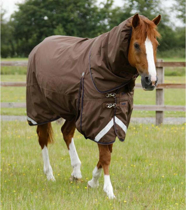 Produktbild Premier Equine Buster 400 g (198 cm)