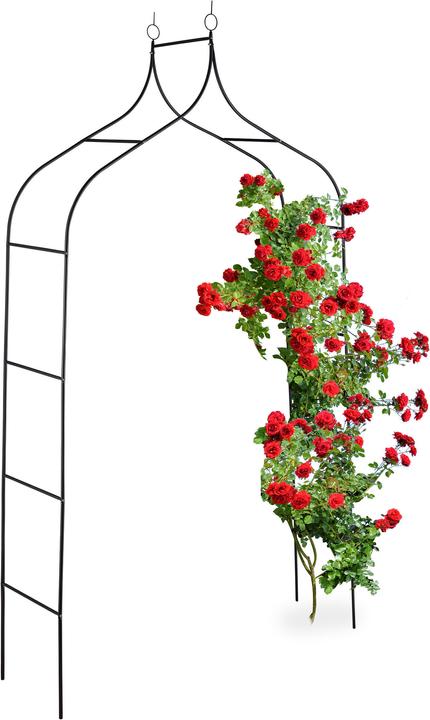 Immagine prodotto Relaxdays Arco di rosa (38 cm, 140 cm)