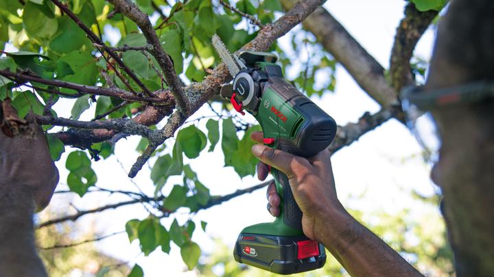Immagine prodotto Bosch Home & Garden UniversalCut 18V-65