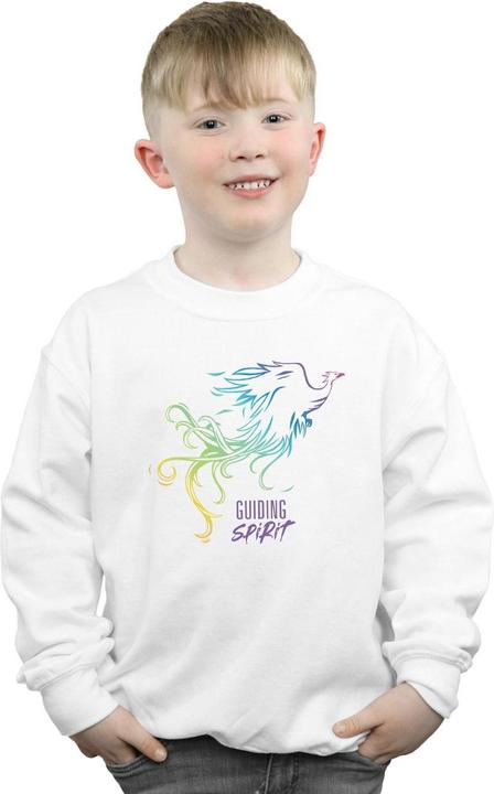 Actual product image Disney Boys Mulan Movie Phoenix Guiding Spirit Sweatshirt (140, 146)