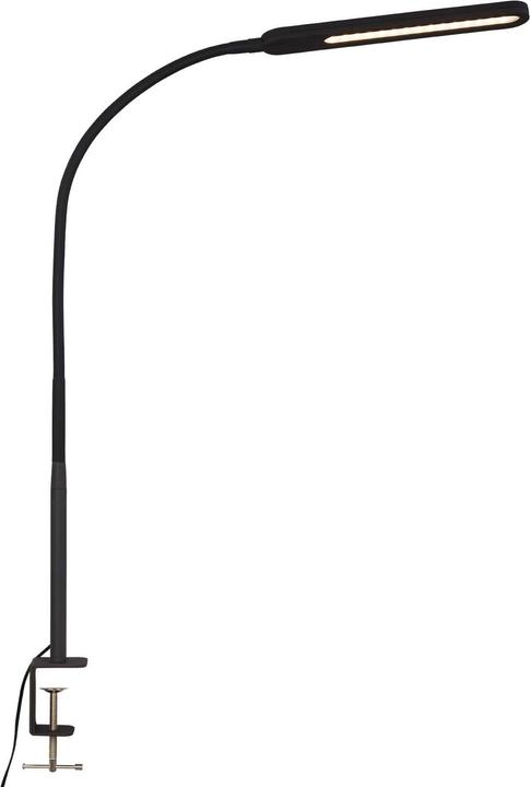 Briloner Lampe à pince (600 lm)