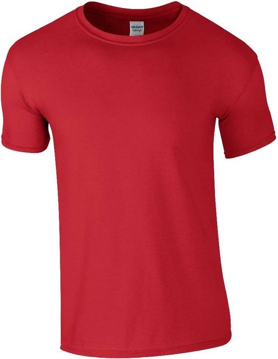Actual product image Gildan Soft Style Tshirt (4XL)