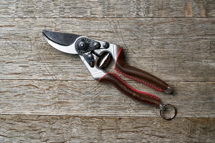 Actual product image Felco Astschere Elite Edition