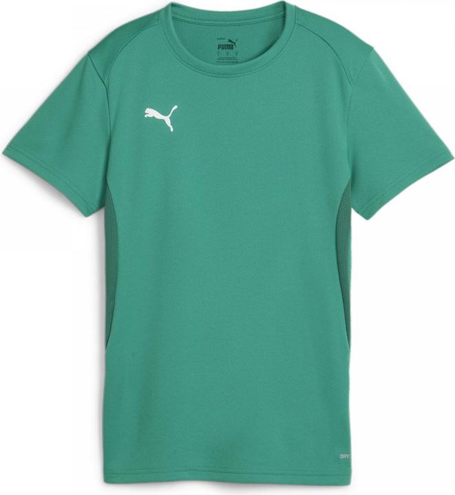 Produktbild Puma teamGOAL Jersey Wmn (L)