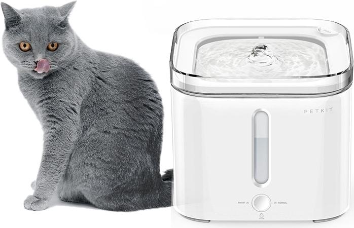 Actual product image Petkit Eversweet Smart II (2 l)