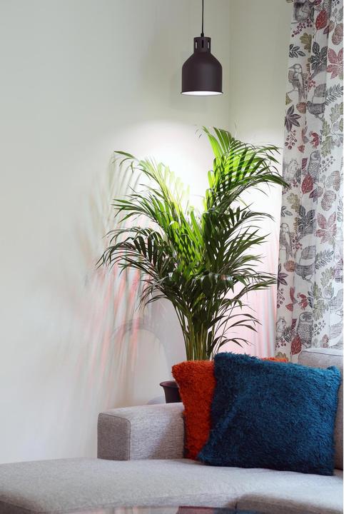 Image du produit Venso Saga (LED, 230 V)