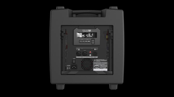 Actual product image Mackie DLM12 Hallway Wall Mountable