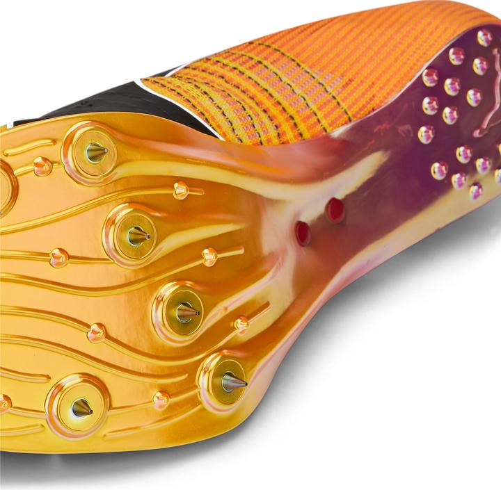 Produktbild Puma evoSPEED Tokyo Nitro (39)