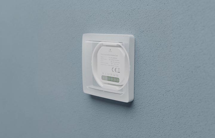 Actual product image Tesla Smart Switch Module Dual