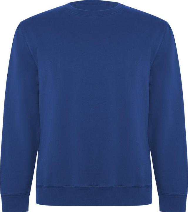 Alpinia Batian Sweatshirt Rundhalsausschnitt