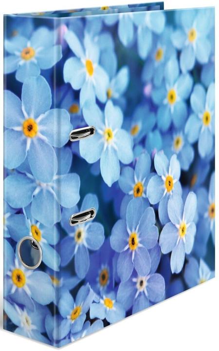 Blue Flowers