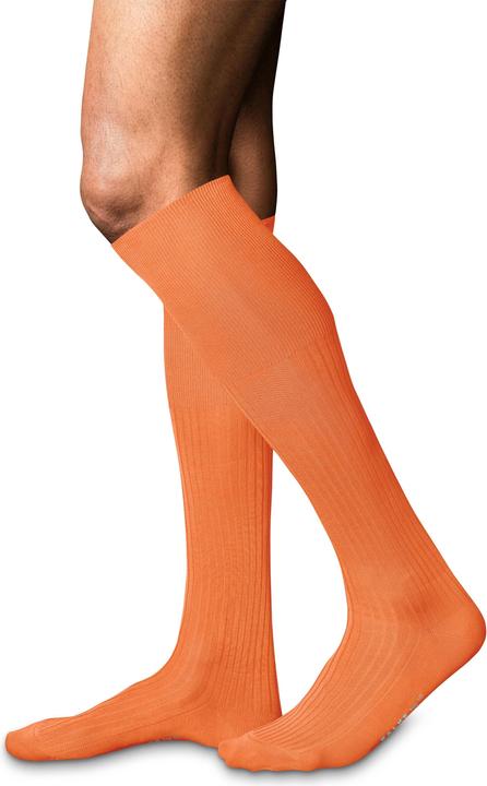 Image du produit Falke No. 10 KH (43 - 44)