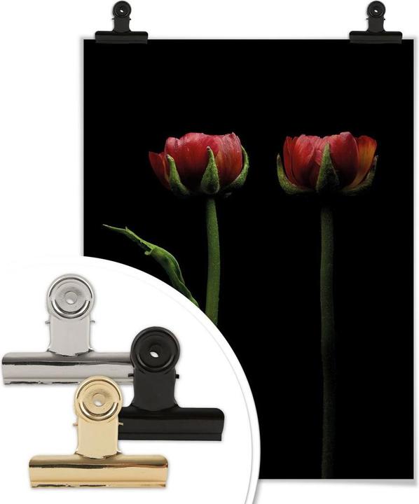 Actual product image Trenddeko Two red ranunculus (30 x 40 cm)