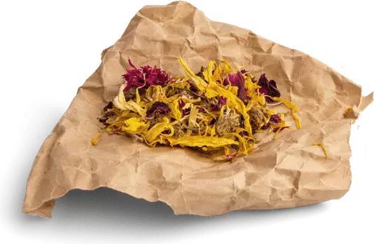 Actual product image Bunny all nature Botanicals Mix Daisies (0.12 kg, 1 x)
