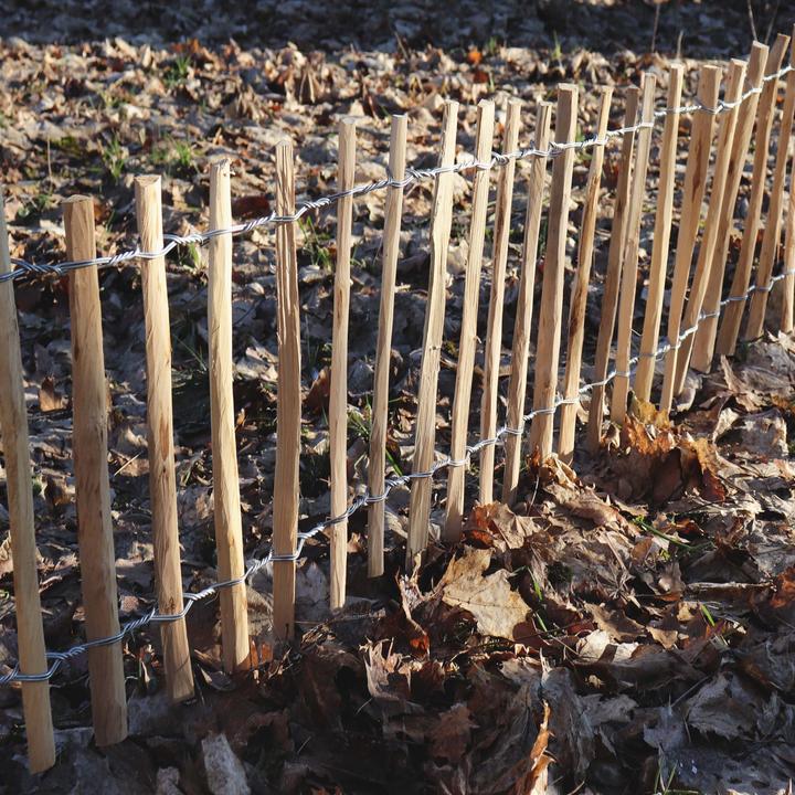 Immagine prodotto Aquagart 45m Staketenzaun Rollboarder 60cm hoch Lattenabstand 4-6cm Gartenzaun aus Haselnuss Holzzaun