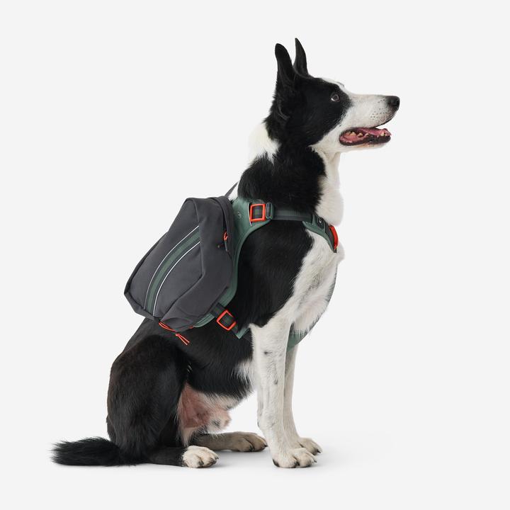 Immagine prodotto Caperlan Hundegeschirr Wandern (S, Cane)