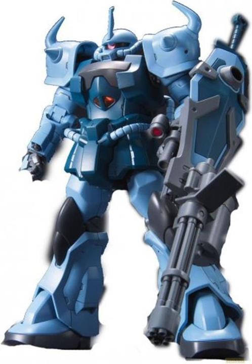 Actual product image Bandai Gundam Gouf Custom
