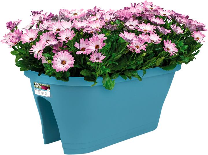 Produktbild Elho corsica flower bridge Outdoor Topfpflanzer Polypropylen (PP) (57.30 cm)