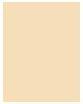 Immagine prodotto Dior Forever Skin Correct (2WO Oliva calda)