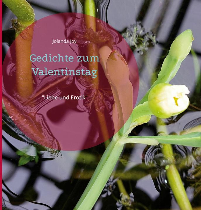 Produktbild Gedichte zum Valentinstag (Deutsch, Jolanda Joy, 2023)