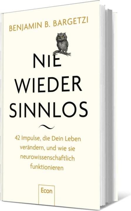 Nie wieder sinnlos (Deutsch, Benjamin B. Bargetzi, 2025)