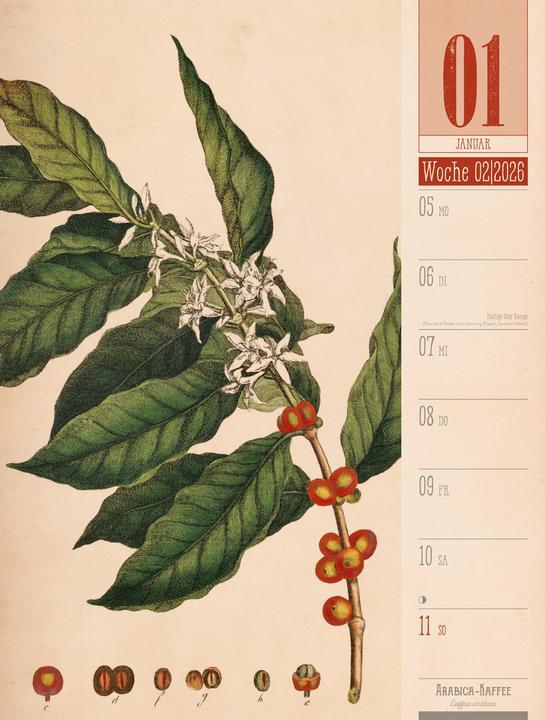 Immagine prodotto Culinarium - Küche, Kräuter, Kurioses - Vintage Wochenplaner Kalender 2026 (25 x 33 cm, Copertina rigida, Tedesco)