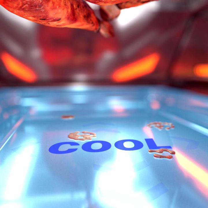 Produktbild Livington Rotisserie Chef