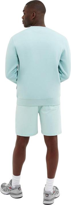 Image du produit Nicce short garment dye mercury (L)