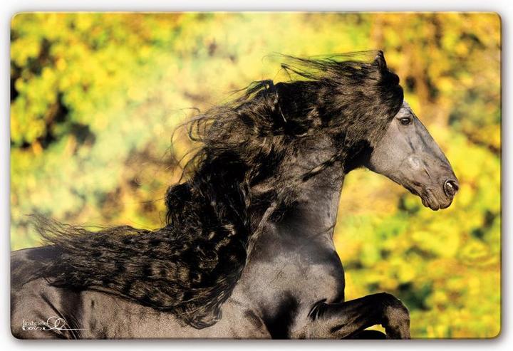 Boiselle - Frisian Anton with flowing mane (60 x 40 cm)