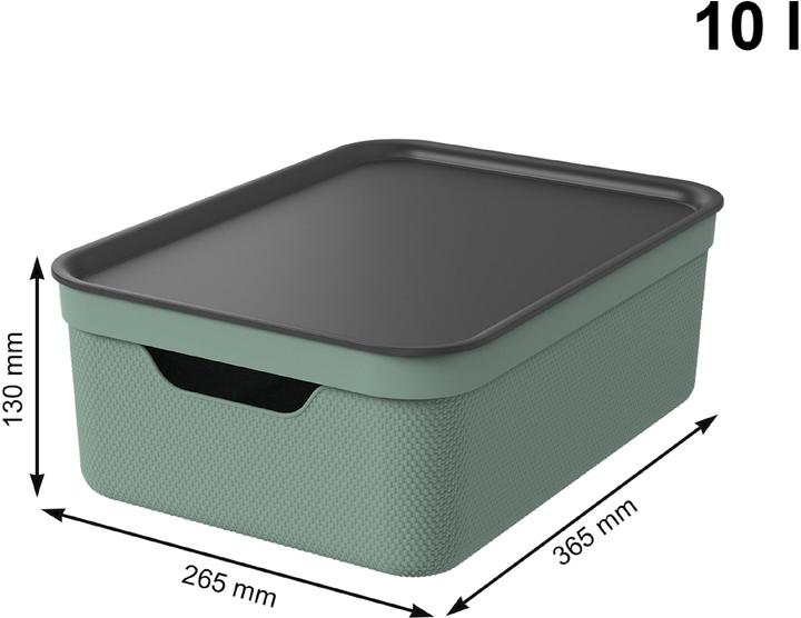 Immagine prodotto Rotho Jive (37,5 x 28 x 23,5 cm, 10 l)