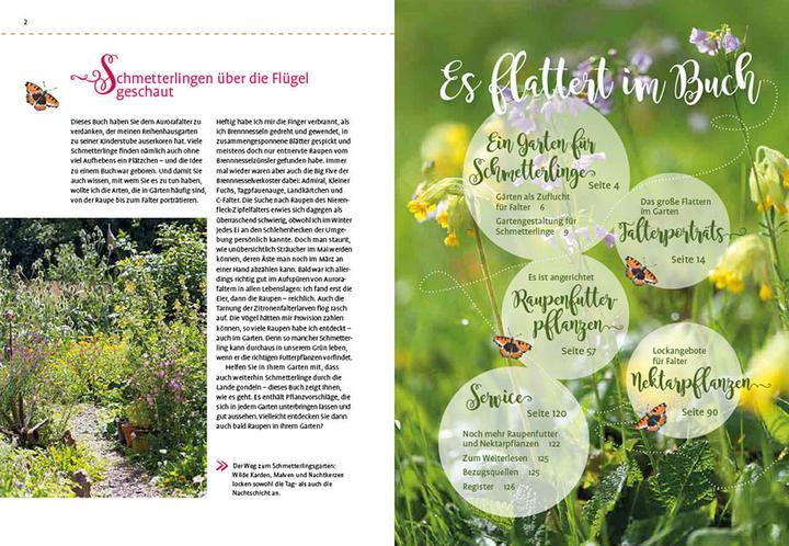Produktbild Mein Schmetterlingsgarten (Deutsch, Elke Schwarzer, 2022)