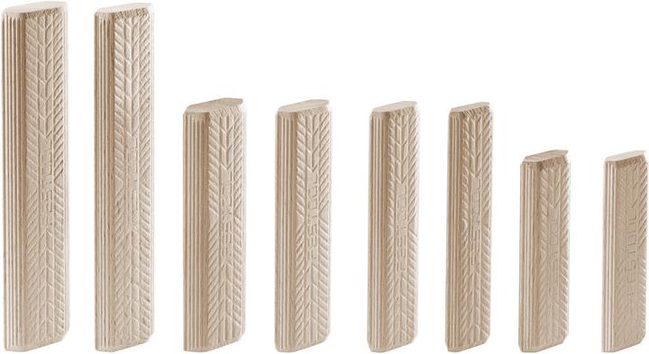 Productafbeelding Festool DOMINO Beuken deuvel assortiment DS 4/5/6/8/10 1060x BU (1 Pcs.)