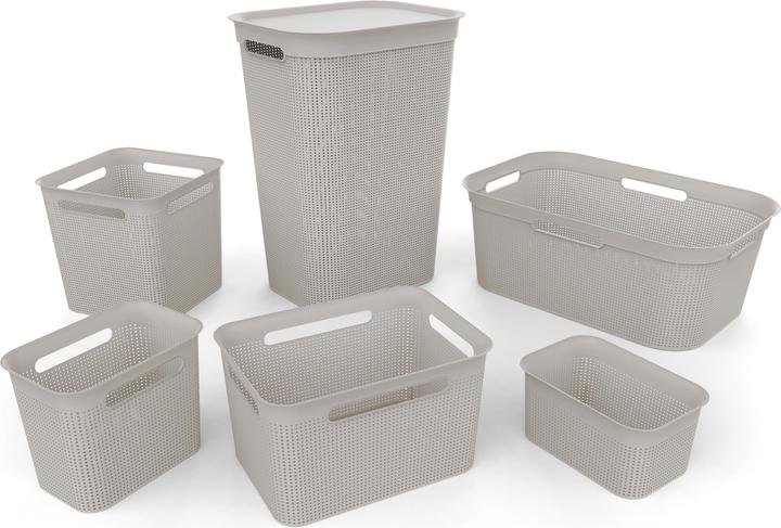 Actual product image Rotho Breezes (41 l)