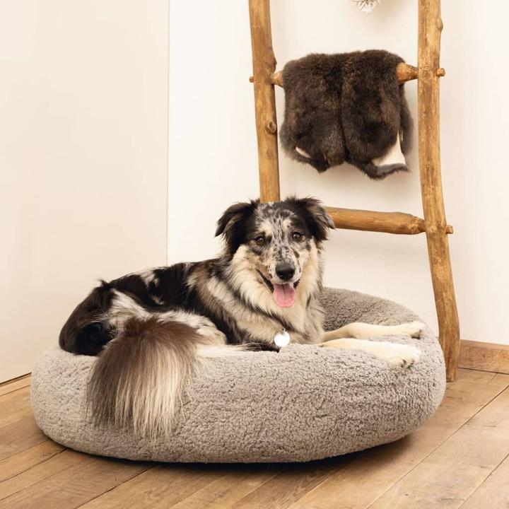 Immagine prodotto Beeztees Jaxx (Cane)