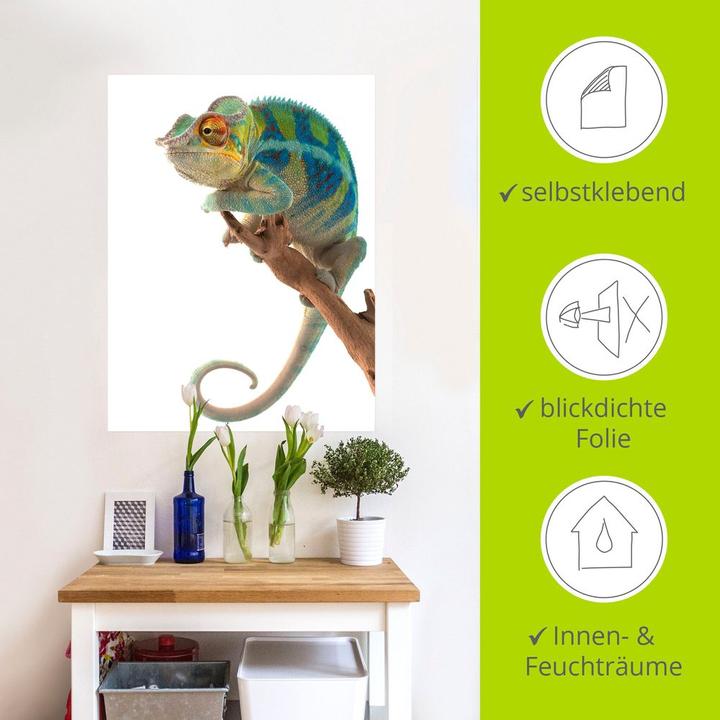 Produktbild Artland Ambanja Panther Chamäleon T5RW (45 x 60 cm)