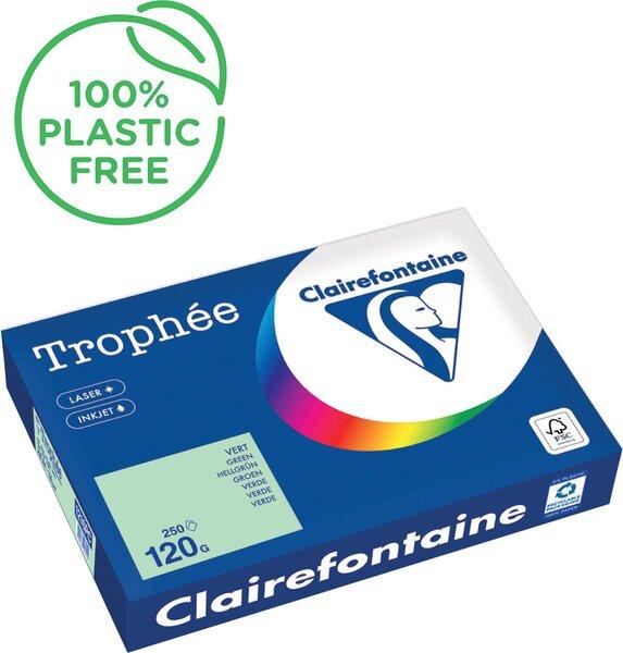 Immagine prodotto Clairefontaine Carta per fotocopie Trophée verde chiaro DIN A4 120 g/m² 250 fogli (120 g/m²)